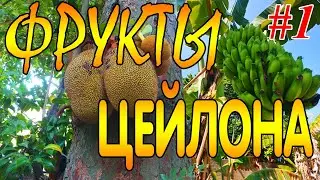 Обзор фруктов на Шри-Ланке #1/Экзотические фрукты