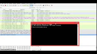 How to Ping Packets Into Wireshark