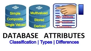 Database Attributes | Types of Attributes | Classification of Attributes | Categories of Attributes