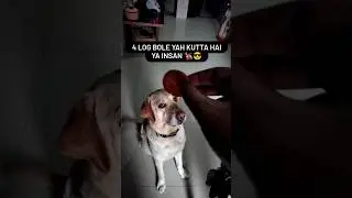 let me know your dog skill 🐕‍🦺😅 