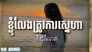 ខ្ងុំលែងត្រូវការស្នេហា - Nhom leng trov ka Sneha - វី ឌីណែត | KH Song (Lyrics Song)