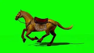 Horse Green screen | Horse Running in Green screen | Horse Copyright Free video | Green screen