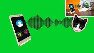 ONLY SUB CAN USE FREE)Mobile voice sound wave2 green  screen animation effect