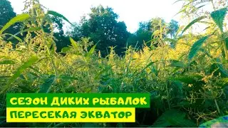 Пересекая экватор