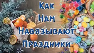 Как нам навязывают праздники. Дикобраз