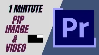 How to PIP Image & Video in Adobe Premier Pro 