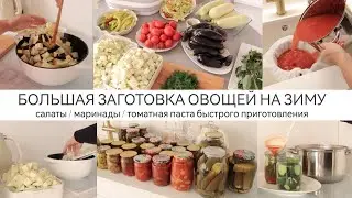 БОЛЬШАЯ ЗАГОТОВКА ОВОЩЕЙ НА ЗИМУ: Салаты/томатная паста/лечо