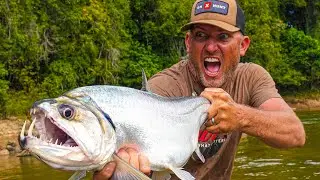 Fishing for HUGE Vampire Fish in a Remote Jungle *Payara* {Catch Clean Cook} Rewa River, Guyana