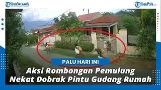 VIRAL Aksi Rombongan Pemulung Nekat Dobrak Pintu Gudang Rumah di Kota Palu