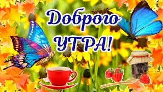 Доброе Утречко 🌹 Супер Прикольная Открытка С Добрым Утром Хорошего дня #сдобрымутром #доброеутро