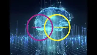 Cognition and Consciousness Entwined