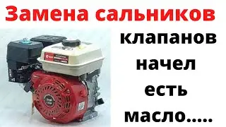 Замена сальников клапанов мотоблока5-9 лошадей жрёт масло .