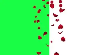 Rose Petals Falling Animation Green Screen Effects- Center Petals Falling Animation White background