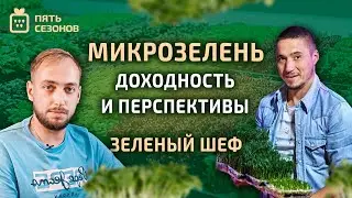 МИКРОЗЕЛЕНЬ - ДОХОДНОСТЬ И ПЕРСПЕКТИВЫ // ЗЕЛЕНЫЙ ШЕФ