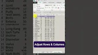 Adjust Rows & Columns | auto fit row width | Change column height | Excel TiPs & Tricks
