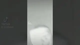 Видео из моего Тик Тока Автор в деле 🌈👻