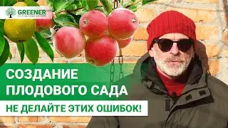 10 ГЛАВНЫХ ошибок при создании плодового сада. ЭТО ОЧЕНЬ ВАЖНО!