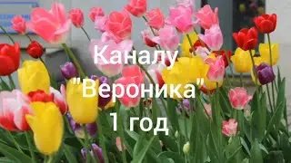 Каналу Вероника 1 год. Вспомним наши видео. Харьков 2021