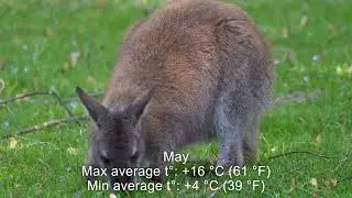 Seasons in Australia: Temperature and Climate by Month