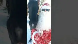 Поздравляю тебя с Наступающим Новым годом🍾🎵