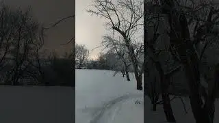 СИНИЙ ИНЕЙ
