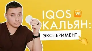 IQOS vs кальян: от чего больше вреда? | Эксперимент