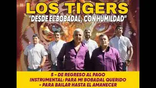 LOS TIGERS 