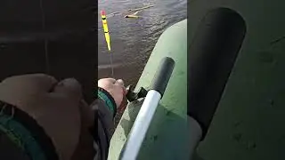 Думал коряга,а там...Видео с этой рыбалки уже на Дзен.