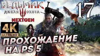 Обновленный Ведьмак 3: Дикая Охота на PS5 в 4К # 17 ✦СТРИМ ПРОХОЖДЕНИЕ✦