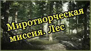 Квест Миротворца - Миротворческая миссия (Лес) ➤ Escape From Tarkov (Побег из Таркова). 2020