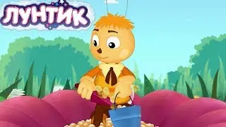 Лунтик | Медовый спас 🍯 Сборник мультфильмов для детей