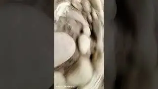 जंगल ही Janga#shortvideo #haridwar