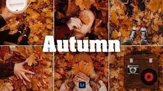 Autumn Preset - Lightroom Mobile Preset | Fall Preset | Autumn Filter | Autumn Photo Editing | Maple