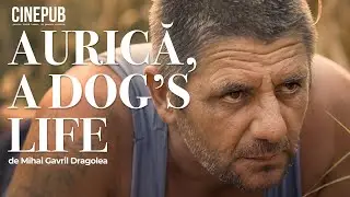 AURICĂ, A DOG’S LIFE (2022) - short film online - CINEPUB
