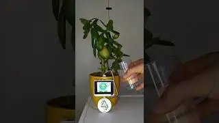 My Flower Has Emotions | Electronics Project