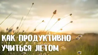 Как учиться летом?