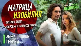 Матрица изобилия. Как привлечь энергию денег, улучшить здоровье и благосостояние при помощи камней