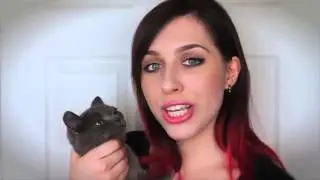 Катя Клэп! Мое Вдохновение   КОШКИ!!!   Все Танцуют с Котами