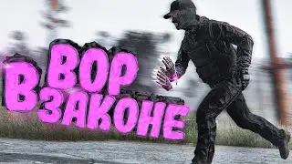 УКРАЛА СЕКРЕТНУЮ РАЗРАБОТКУ | DayZ Stalker RP