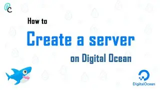 How to create a cloud server/droplet on Digital Ocean and connect a Domain