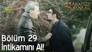 Kanatsız Kuşlar 29. Bölüm - İntikamını al