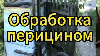 Азбука пчеловодства | Здоровье пчел | Клещ Варроа | Ч.4 | 693/142/143/62. 00