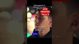 История трейдера BNF: Путь к миллиардеру 