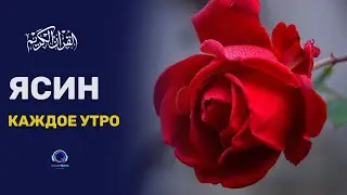 ЯСИН СЛУШАЙТЕ КАЖДОЕ УТРО