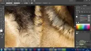 Video : How to make a clipping mask in illustrator with text and photo