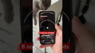 20 сентября 2023 г.