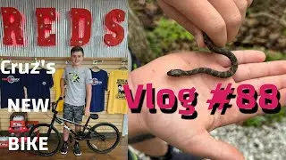 Vlog 88 