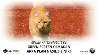 GREEN SCREEN OLMADAN VİDEO ARKA PLANI SİLME (AFTER EFFECTS ROTO BRUSH TOOL KULLANIMI)