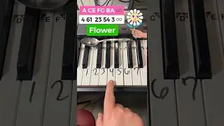 🌸 Flower Piano Tutorial 🌸 