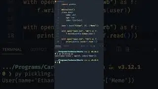 You can save ANY Python object as TEXT?! 
